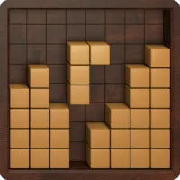 PLay Wood Unblock Puzzle 2 now!