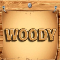 Play Woody Wood Block Puzzle now!